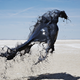 Illustration for article titled Liquid Sculptures Highlight the Beauty in Fluid Dynamics